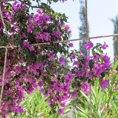 Feriehus Retreats 5 Paros