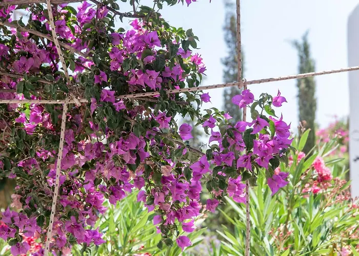 Casa vacanze Retreats 5 Paros